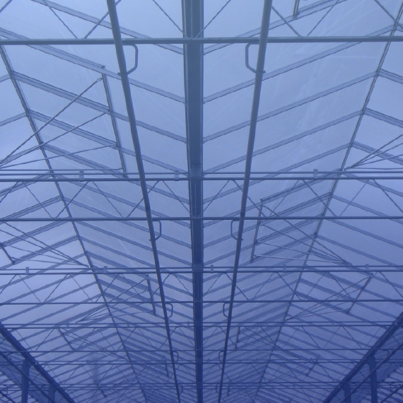 The roof of a greenhouse.