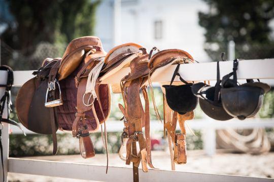 The equipment of The Petra Energy S.R.O Equestrian Team during a competition.