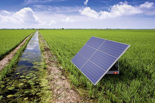 Solar water pumping solution next to a river.